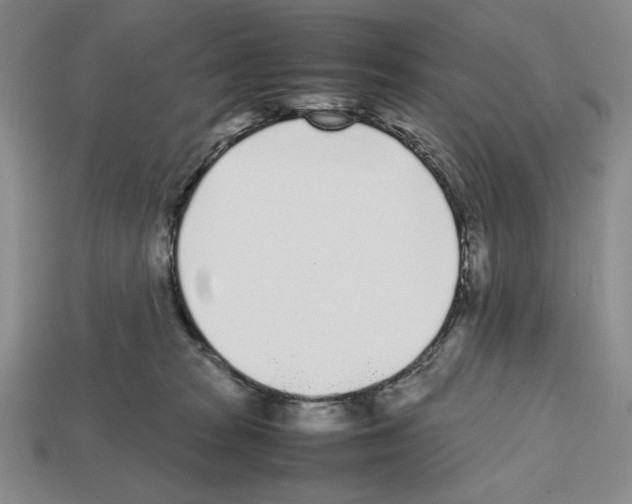 X0000112510277200909281002