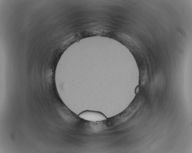 X0000112510279200909281002