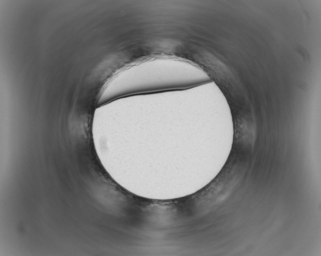 X0000112510280200909281002