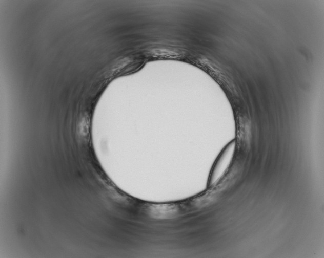 X0000112510281200909281002