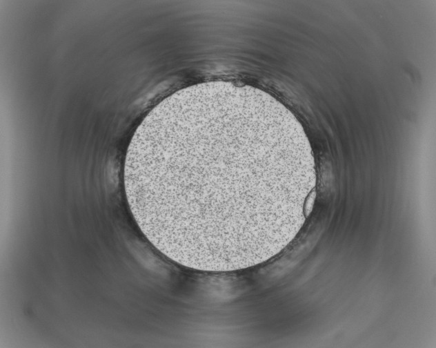 X0000112510282200909281002