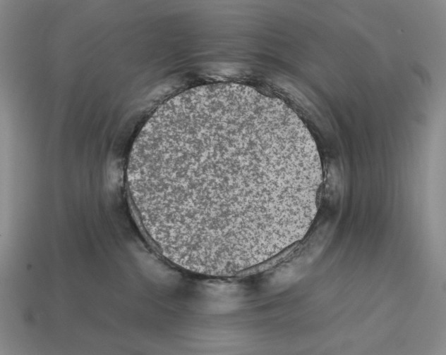 X0000112510284200909281002