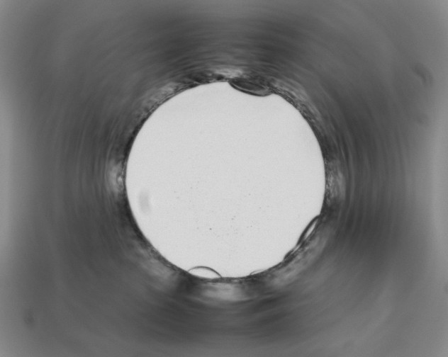 X0000112510285200909281002