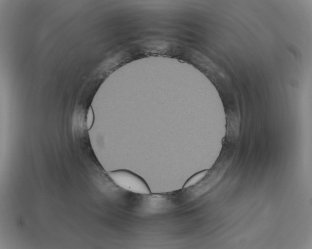 X0000112510287200909281002