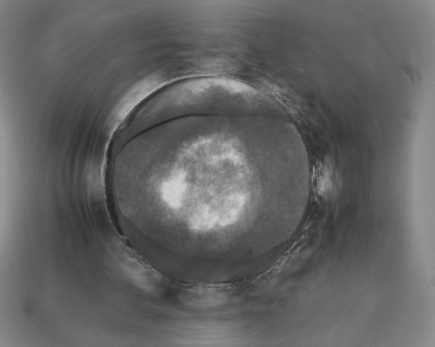 X0000112510292200909281001