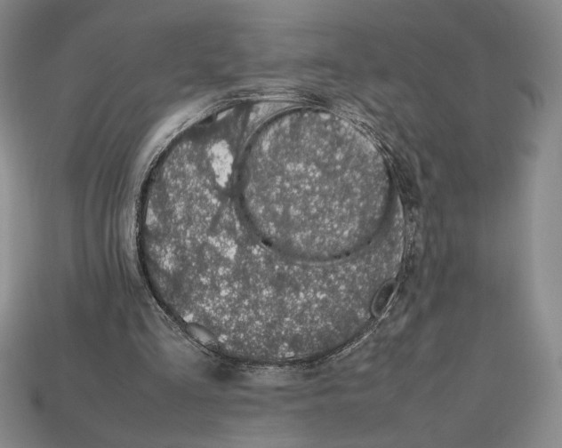 X0000112510293200909281001