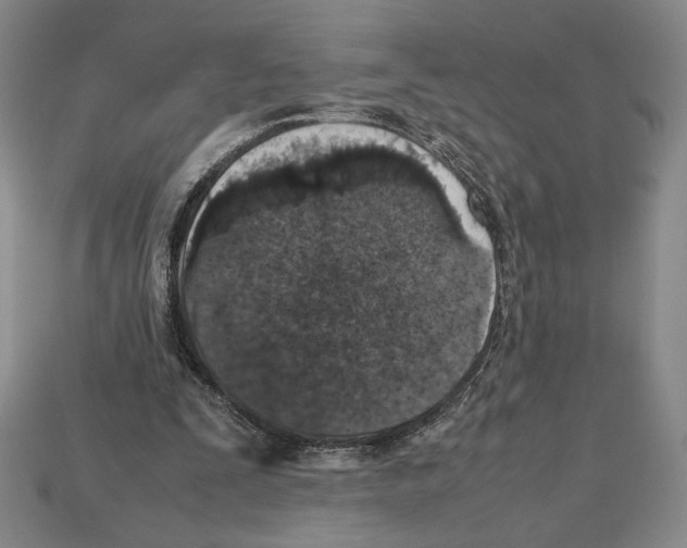 X0000112510295200909281001