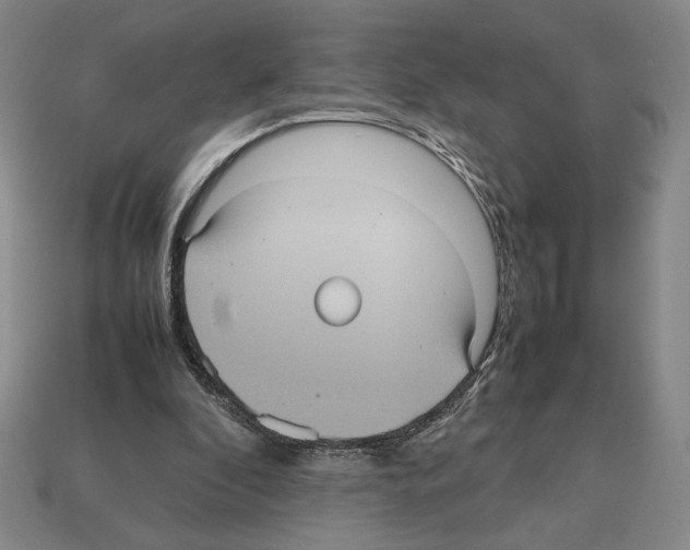 X0000112510296200909281001