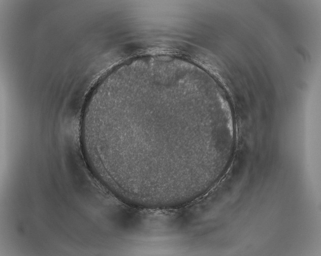 X0000112510297200909281001