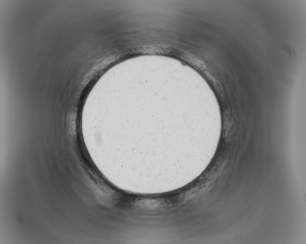 X0000112510299200909281001