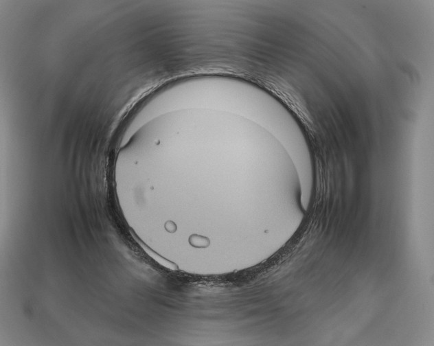 X0000112510300200909281001