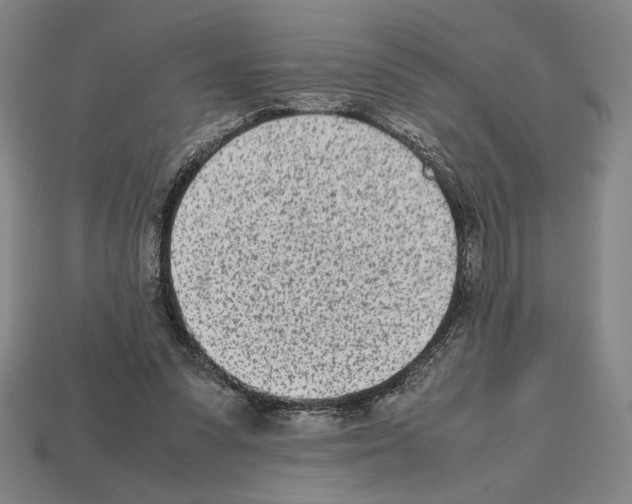 X0000112510303200909281001