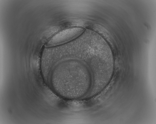 X0000112510305200909281001