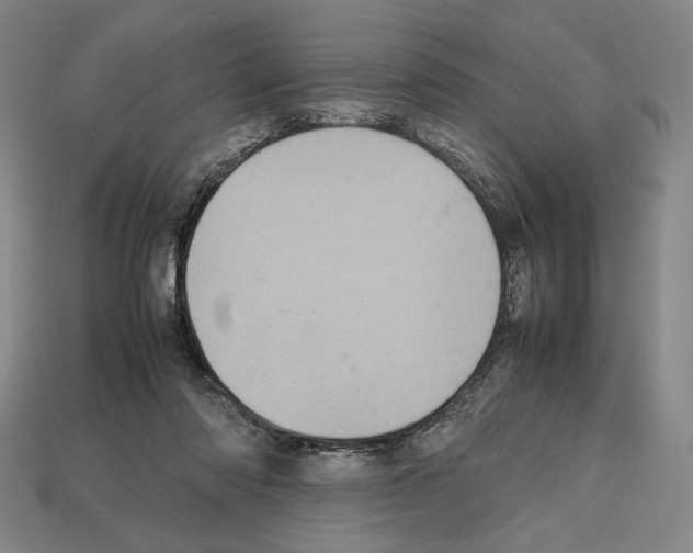 X0000112510310200909281001