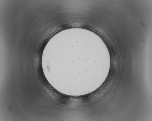 X0000112510311200909281001