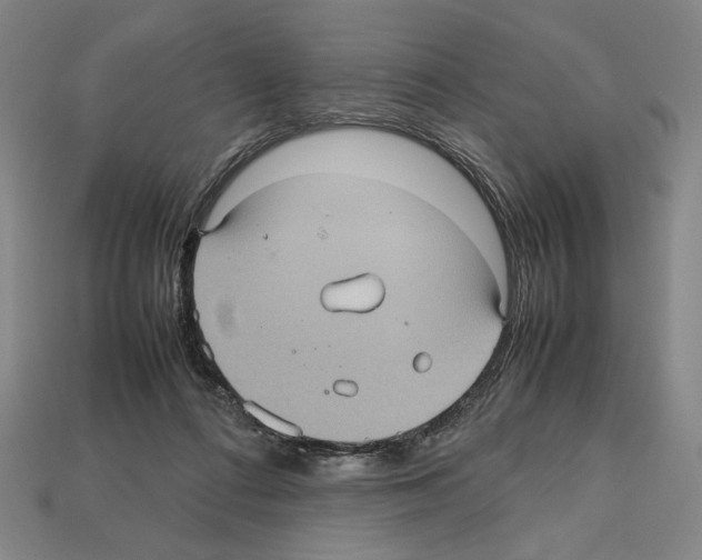 X0000112510312200909281001