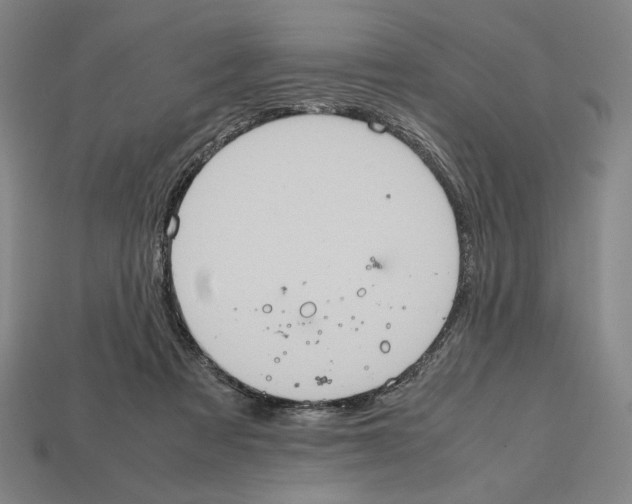 X0000112510313200909281001