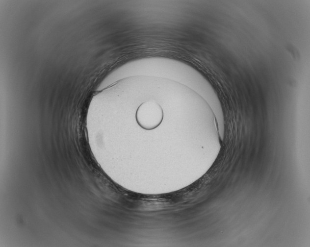 X0000112510316200909281001