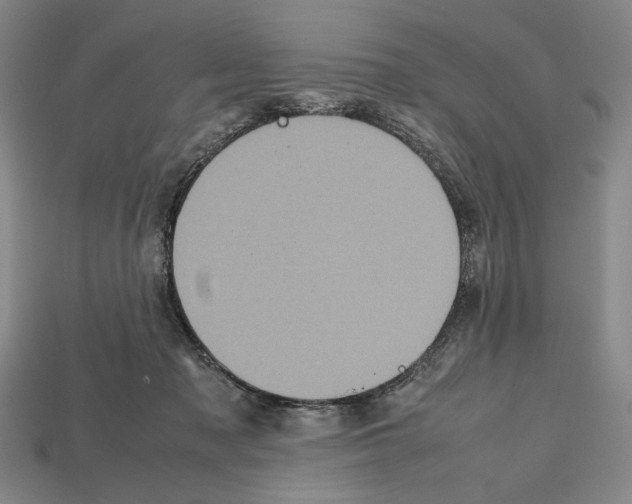 X0000112510317200909281001