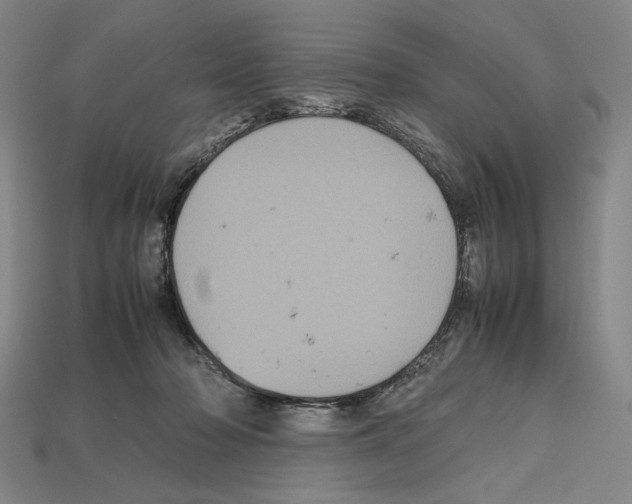 X0000112510318200909281001