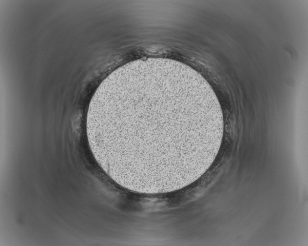 X0000112510319200909281001