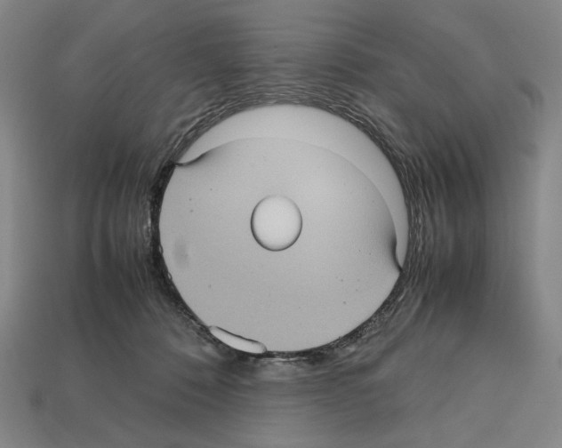 X0000112510320200909281001