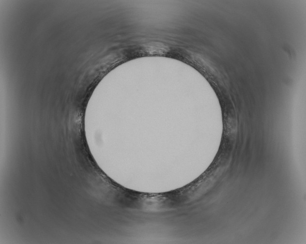 X0000112510321200909281001