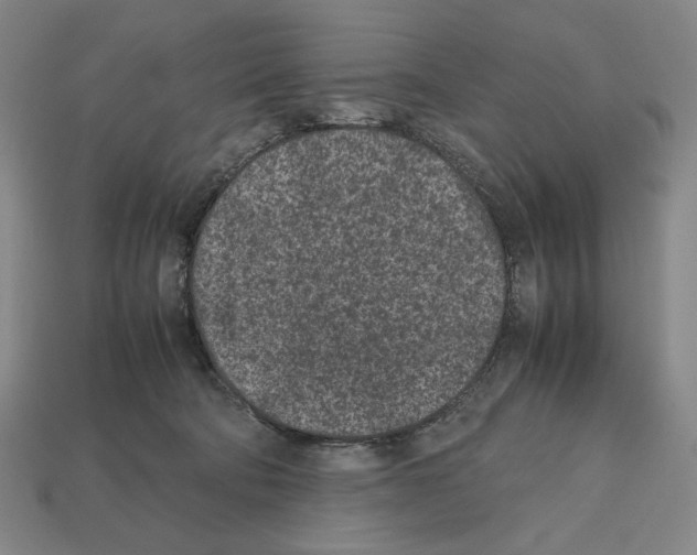 X0000112510322200909281001