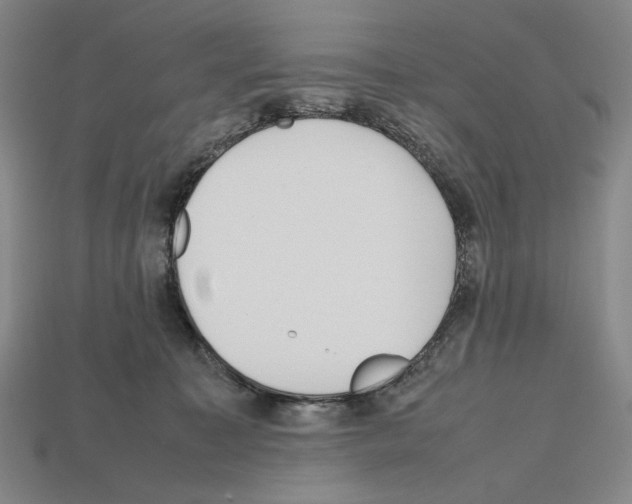 X0000112510323200909281001