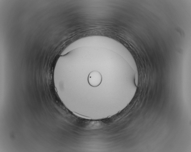 X0000112510324200909281001