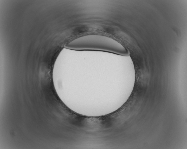 X0000112510327200909281001