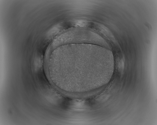 X0000112510328200909281001