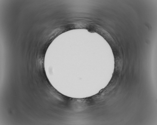 X0000112510329200909281001