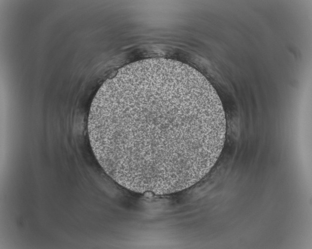 X0000112510331200909281001