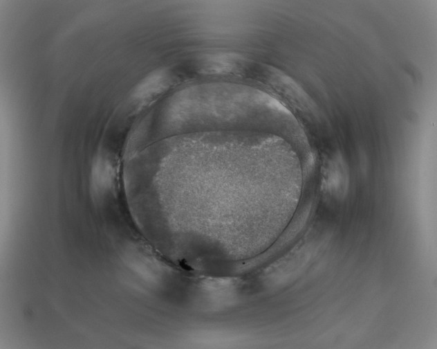 X0000112510332200909281001