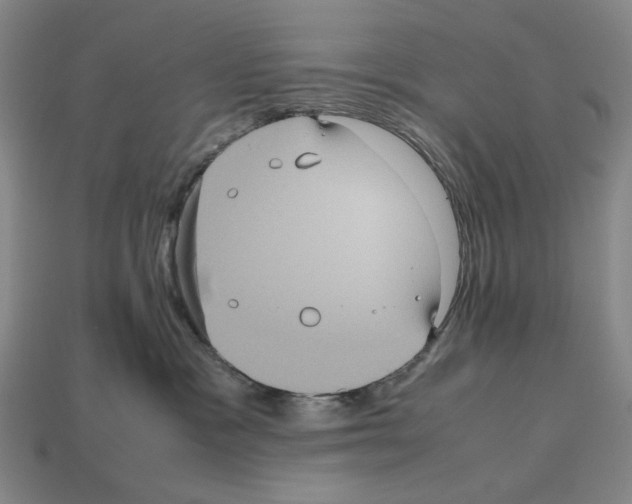 X0000112510333200909281001