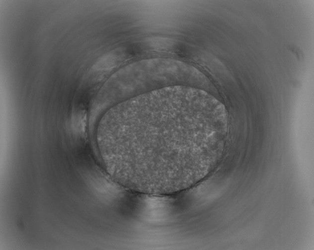 X0000112510336200909281001