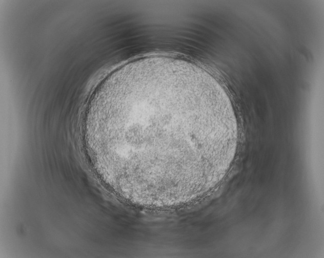 X0000112510337200909281000