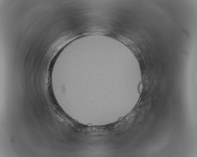 X0000112510338200909281000