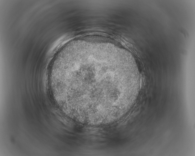 X0000112510339200909281000