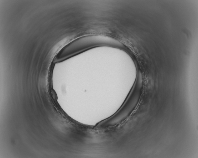 X0000112510340200909281000