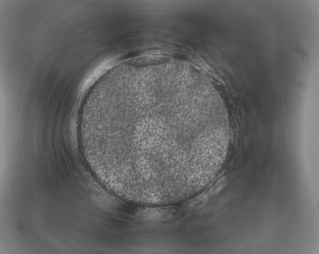 X0000112510341200909281000