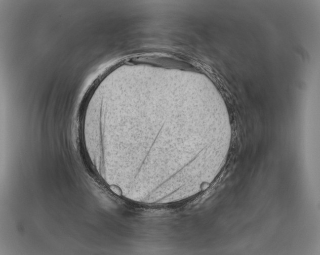 X0000112510342200909281000