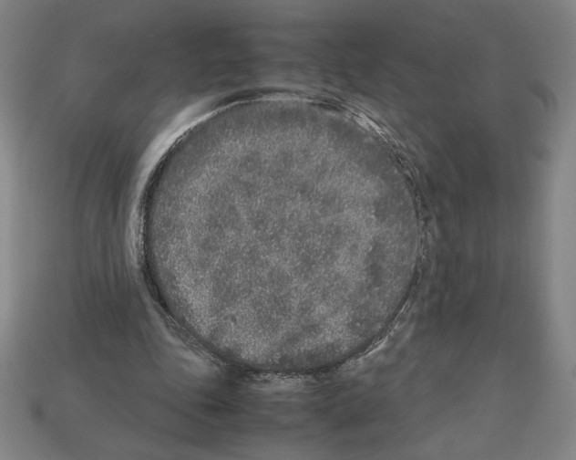 X0000112510343200909281000