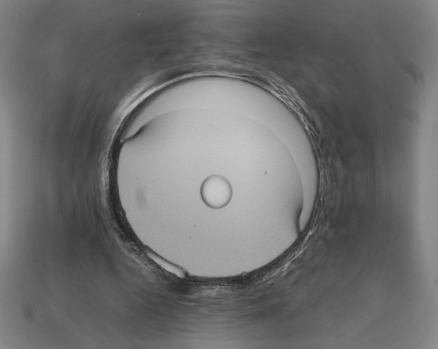 X0000112510344200909281000