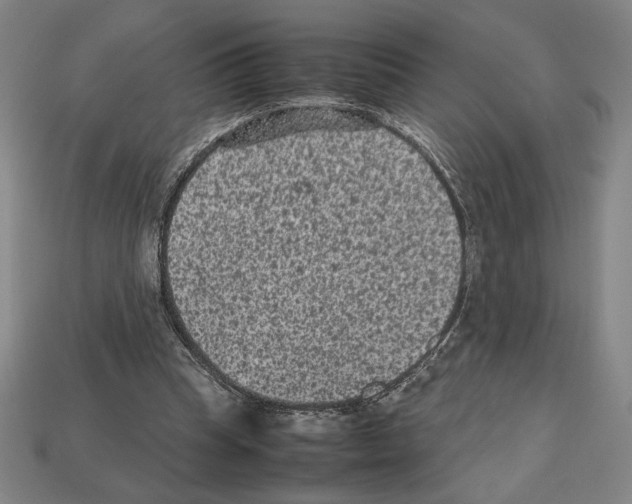 X0000112510345200909281000