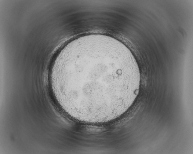 X0000112510347200909281000