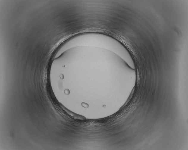 X0000112510348200909281000