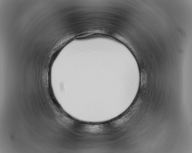 X0000112510349200909281000