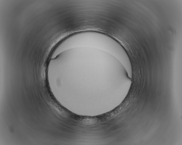 X0000112510350200909281000